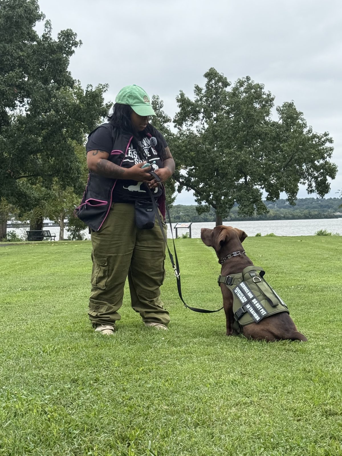 Service dog in training sitting attentively in front of Jen